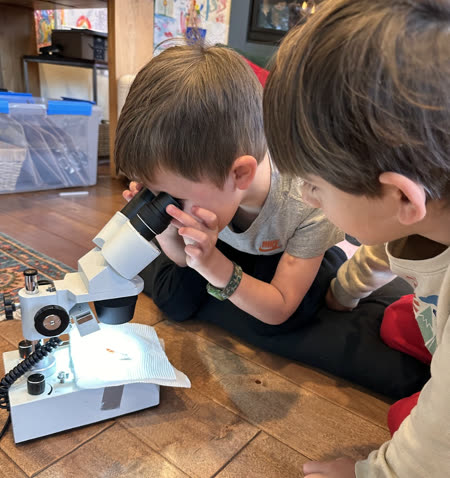 Kids building a friendship fort